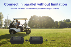 Batterie lithium-ion 51,2 V 48 V 100 Ah 105 Ah pour voiturette de golf avec GPS, pack de batteries Li-ion 48 V 51,2 V 105 Ah pour voiturette de golf - Product Image 4