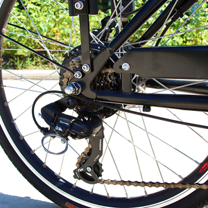 Vélo <span class=keywords><strong>cargo</strong></span> à 3 roues version électrique/<span class=keywords><strong>non</strong></span> électrique pour enfants, vélo de ville, vente à chaud - Product Image 6