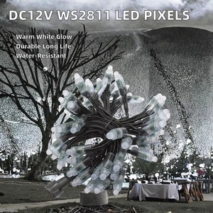 Guirnalda de Luces LED de PVC para Exteriores, con Enchufe, Luz Cálida, para Jardín, Apartamento, Patio, Navidad, Directo de Fábrica OEM - Product Image 2