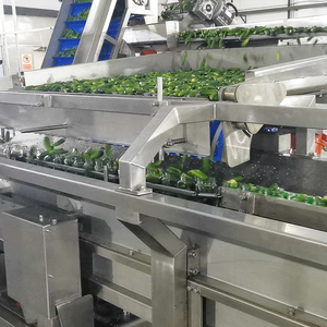 آلة متعددة الوظائف من ليدوورلد لتعبئة وتغليف وختم وتوسيم الخيار المخلل والفواكه المعلبة - Product Image 2