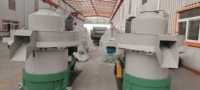 Machine à granulés de biomasse haute capacité pour sciure de bois, coques de riz et paille