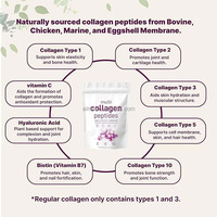 Poudre de peptides de collagène hydrolysé nourri à l'herbe, types I, II, III, V, X, avec biotine, vitamine C et acide hyaluronique pour la peau, les cheveux et les ongles