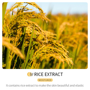 Rice Pulp Gesichts maske Wasser Nachschub Feuchtigkeit Befeuchten Koreanische Hautpflege maske Gesichts maske - Product Image 5