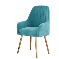 WDYNordic Internet Celebrity Dining Chair Household Girl's Heart Bedroom Light Luxury Dressing Table Makeup Chair Casual Back