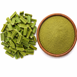 Premium Cissus Quadrangularis Extract <b>Powder</b> Natural Hadjod Herbal Botanical Ingredient with Rich Plant Nutrients Fine <b>Texture</b> - Product Image 1