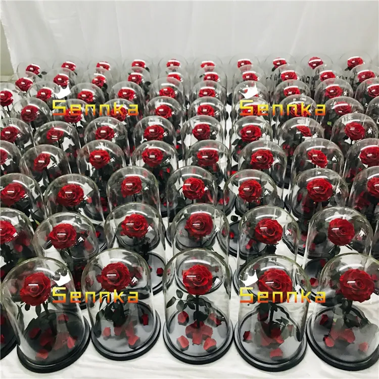 Wholesale Everlasting Roses Preserved Rose Flowers in Glass Dome for Saint Valentine's Day