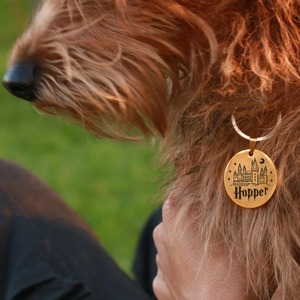 Colgante Redondo Personalizado con Grabado de Guante de Boxeo para Mascotas, Amuleto de Acero Inoxidable para Collar con Nombre, Regalo Personalizado para Amantes de Mascotas - Product Image 5
