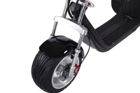 Vente en gros de tricycles électriques pour adultes DomeRide, batterie au lithium 60V, moteur sans balais 2000W, 300 kg, pliable, étanche, commande numérique