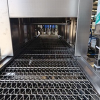 Machine à brûler au gaz continu pour les pattes de porc, les têtes de mouton, les pattes de poulet, la peau de la volaille, machine à échauffer en acier inoxydable