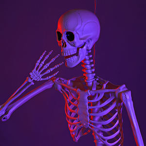 Squelette d'Halloween personnalisable de 165 cm avec articulations mobiles, os humains en plastique pour maison hantée, fête et décoration extérieure - Product Image 6