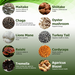 Café de Hongos de Alta Calidad, Polvo de Hericium Erinaceus, Calcio, Hierro, Elementos de Hongos Shiitake y Morchella en Polvo para Café - Product Image 3