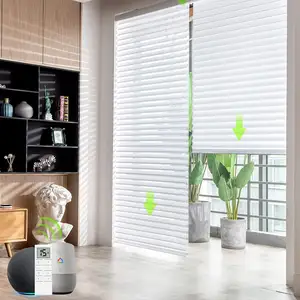 Interior Window Light Filtering Smart Motorized Window Blinds Shangri-La Sheer Shades remote Control Blinds For Home