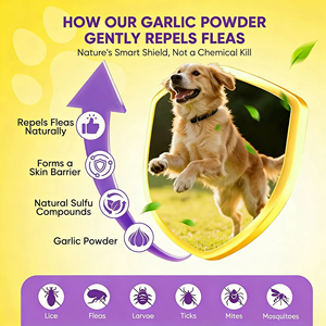 OEM/ODM DogSkinSafety Friandises à Mâcher Douces <span class=keywords><strong>Anti</strong></span>-Puces et Tiques pour Chiens et Chats, Soutien Immunitaire, Santé de la Peau et du Pelage, Vitamines et Minéraux, Protection Quotidienne - Product Image 3