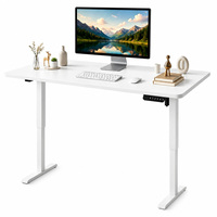 Bureau debout électrique ergonomique moderne avec surface extensible, moteur unique, hauteur réglable, structure en acier pour bureau à domicile
