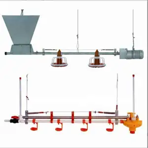 La granja de alimentación de pollos de engorde automática para aves de corral equipa la alimentación automática de la sartén de pollos de engorde con equipo de sistema de barrena