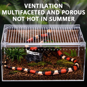 Hộp sinh sản Acrylic cho bò sát & Lưỡng Cư cho thằn lằn rắn các loài khác - Product Image 4