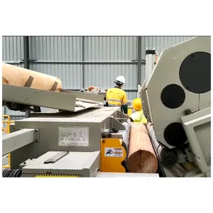 Hot sale BSY veneer rotary cutting machine with clipper of woodworking machinery
