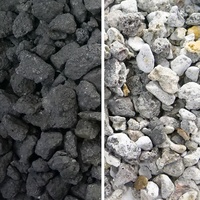 Mesin Pemilah Biji-bijian dan Kacang Otomatis Wesort 2026 Teknologi AI, Pemilah Kacang Tanah dan Jagung, Plastik PE Dari Cina