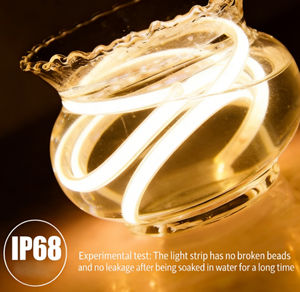 Bande lumineuse <span class=keywords><strong>LED</strong></span> IP68 étanche 24V FCOB <span class=keywords><strong>LED</strong></span> néon haute luminosité pour extérieur, éclairage sous-marin pour piscine et <span class=keywords><strong>aquarium</strong></span> 10*6mm - Product Image 5