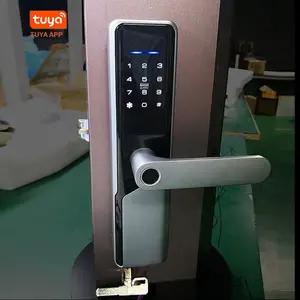 智能步骤图雅Wifi银色智能门锁家庭办公室指纹stat锁无钥匙密码安全门锁