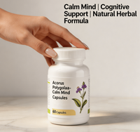 Capsules d'herbes chinoises Acorus Polygala en marque privée OEM pour la perte de mémoire, l'insomnie, le soulagement des troubles cognitifs chez les personnes âgées, soins quotidiens pour le cerveau