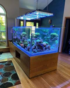 Aquariums <span class=keywords><strong>de</strong></span> 300 Gallons, Grand Aquarium <span class=keywords><strong>de</strong></span> 300 Gallons, Aquarium d'<span class=keywords><strong>Eau</strong></span> Salée <span class=keywords><strong>de</strong></span> 300 Gallons - Product Image 1