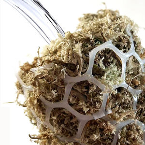 Poteau de mousse à forte rétention d'eau écologique pour plantes grimpantes pour pots de fleurs en mousse de sphaigne Monstera Philodendron - Product Image 6