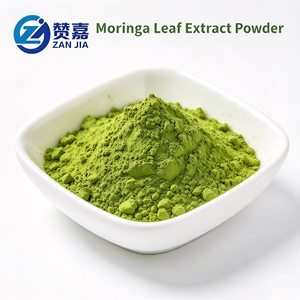Moringa Oleifera Lam. de Grado Alimenticio Extracto de Hoja 10:1, <span class=keywords><strong>Polvo</strong></span> Soluble <span class=keywords><strong>en</strong></span> Agua al 80%, Materia Prima Envasada al Vacío <span class=keywords><strong>para</strong></span> Uso Dietético - Product Image 1