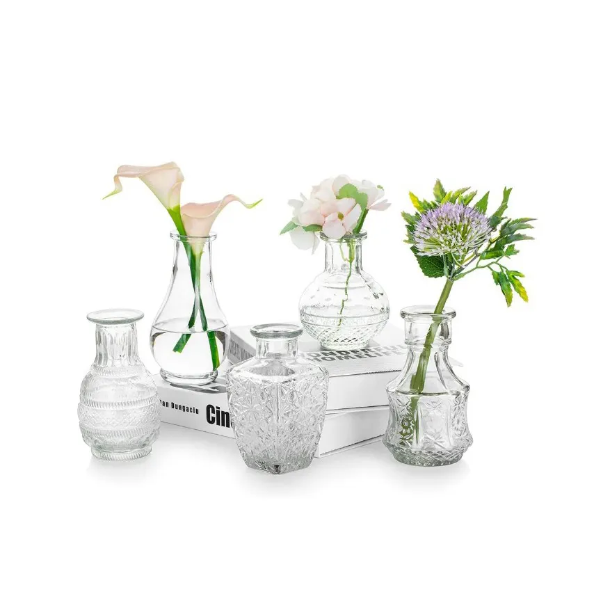 Glas Single Bud Vase Set mit 5 dekorativen rustikalen Blumenvasen Kleiner Mini Tisch Blumenvase Barcelona Style für Wohnkultur
