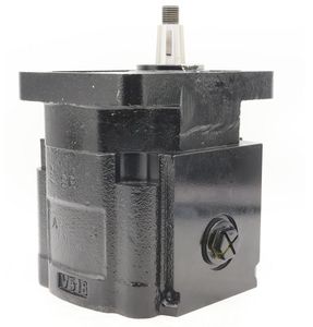 Pompe à engrenages hydraulique compacte AP200/11 D 200.1024.222.02 AP200/15 D 200.1025.222.03 Équipement hydraulique industriel - Product Image 2