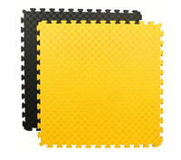 Tapete de Espuma EVA de 100x100cm, Cinco Líneas, para Entrenamiento de MMA, Boxeo y Lucha Libre, Antideslizante, Alta Densidad, Absorción de Impactos, Venta al Por Mayor, OEM