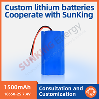 Factory Custom 7.4V 1500mAh 18650 Lithium Battery Pack New Grade a Cell for Fascia Gun Medical Equipment Power Supply