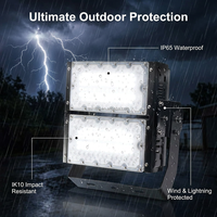 Projecteur d'extérieur RGB+Blanc 150W à mât haut avec télécommande pour Jardin, Parc, Bar, Fête, Club de Plage, Mariage, Aménagement Paysager Extérieur