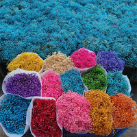 Couronne de fleurs décoratives souffle de bébé blanc vraies fleurs pressées séchées naturelles pour l'artisanat d'art bricolage