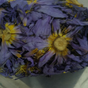 Fiori di Ninfea Blu Naturale Essiccati e Fiori del Ninfea Sacro per Tè - Product Image 6