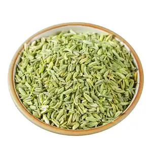 Qingchun Spice Wholesale Green Fennel Seeds