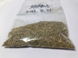 Kochia scoparia chiết xuất hạt Kochia cấp thực phẩm bổ sung Kochia scoparia chiết xuất bột chiết xuất Kochia scoparia - Product Image 3