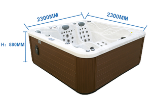 Châu Âu Sang Trọng 5 Người Đơn Lập Hiện Đại Acrylic Xoáy Spa Massage Ngoài Trời Bồn Tắm Nước Nóng Bong Bóng Không Khí Máy Bay Phản Lực Bìa Gối Âm Nhạc - Product Image 2