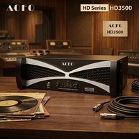 Amplificateur de subwoofer professionnel AOFO HD3500 TD Class 2 canaux 3500W haute puissance 4 ohms métal