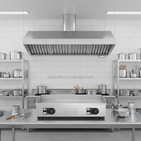 Machine à kebab au poulet rôti, grilles électriques en pierre de lave, 4400W, réduction du bruit, rôtissoire à kebab, équipement pour snack-bar