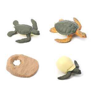 ของเล่นรูปวงจรชีวิตแมลงเพื่อการศึกษา ชุดการเรียนรู้วิทยาศาสตร์พลาสติกแข็งไร้กลิ่น - Product Image 3