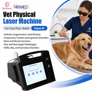 Dispositivo Portátil de Terapia Láser Veterinaria de 980nm y 30W con Múltiples Programas Preestablecidos para Uso en Clínicas Veterinarias - Product Image 1