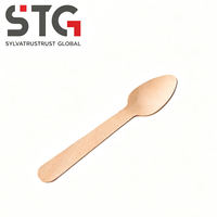 Cuillère à glace jetable en bouleau de 96 mm, écologique, biodégradable, sans BPA, mini-cuillère pour boulangerie et café