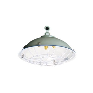 Lámpara de Techo de Alta Potencia Impermeable de una Sola Bombilla para Carga CGD3-2, Herraje Marino, Lámpara Colgante para Cabina Marina - Product Image 1