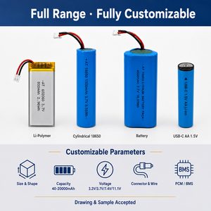 Batterie au lithium personnalisée <span class=keywords><strong>500</strong></span> mAh 3,7 V 502540 avec plus de <span class=keywords><strong>500</strong></span> cycles pour l'audio portable et les moniteurs de santé DIY - Product Image 2