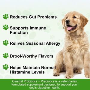 Suplemento Probiótico en Polvo para Mascotas ODM/OEM, Salud Digestiva para Perros y Gatos, Apoyo para el Intestino - Product Image 2