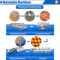 Orme Tomaat Sorteerder Fruit Groente Kwaliteit Machine Oranje Dragon Fruit Avocado Soort En Wasmachine