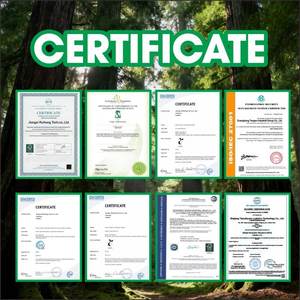 Gobelets en plastique PP jetables <span class=keywords><strong>à</strong></span> paroi simple avec logo personnalisé, avec couvercles et pailles pour café glacé et boissons froides - Product Image 5