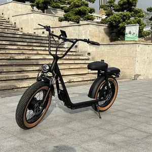 Fabrika ihracat 20 inç yağ lastik elektrikli bisiklet 48V30ah1000W kentsel eğlence taşınabilir lityum elektrikli scooter
