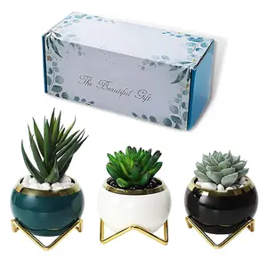 Mini conjunto de vasos para plantas, kit de vasos de plantas de cerâmica com vidro criativo